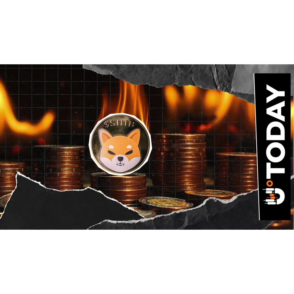 SHIB About to Burn One Zero, Top SHIB Exec Believes SHIB About to Burn One Zero, Top SHIB Exec Believes