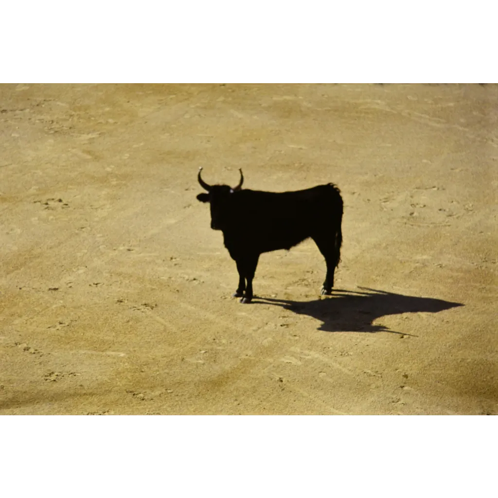 Bitcoin Liquidity Rotation Turns Bullish Again As Stablecoin Shelter Starts To Unwind Bitcoin Liquidity Rotation Turns Bullish Again As Stablecoin Shelter Starts To Unwind