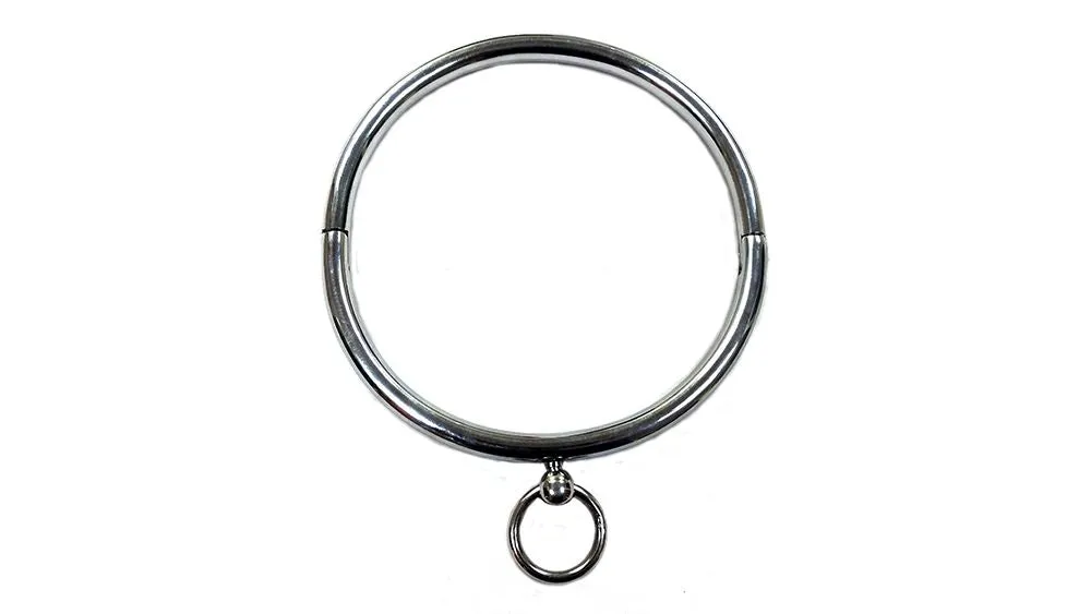 Stainless Steal Collar (with Case) Stainless Steal Collar (with Case)