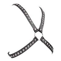 Ledergeschirr mit Nieten Ledergeschirr mit Nieten