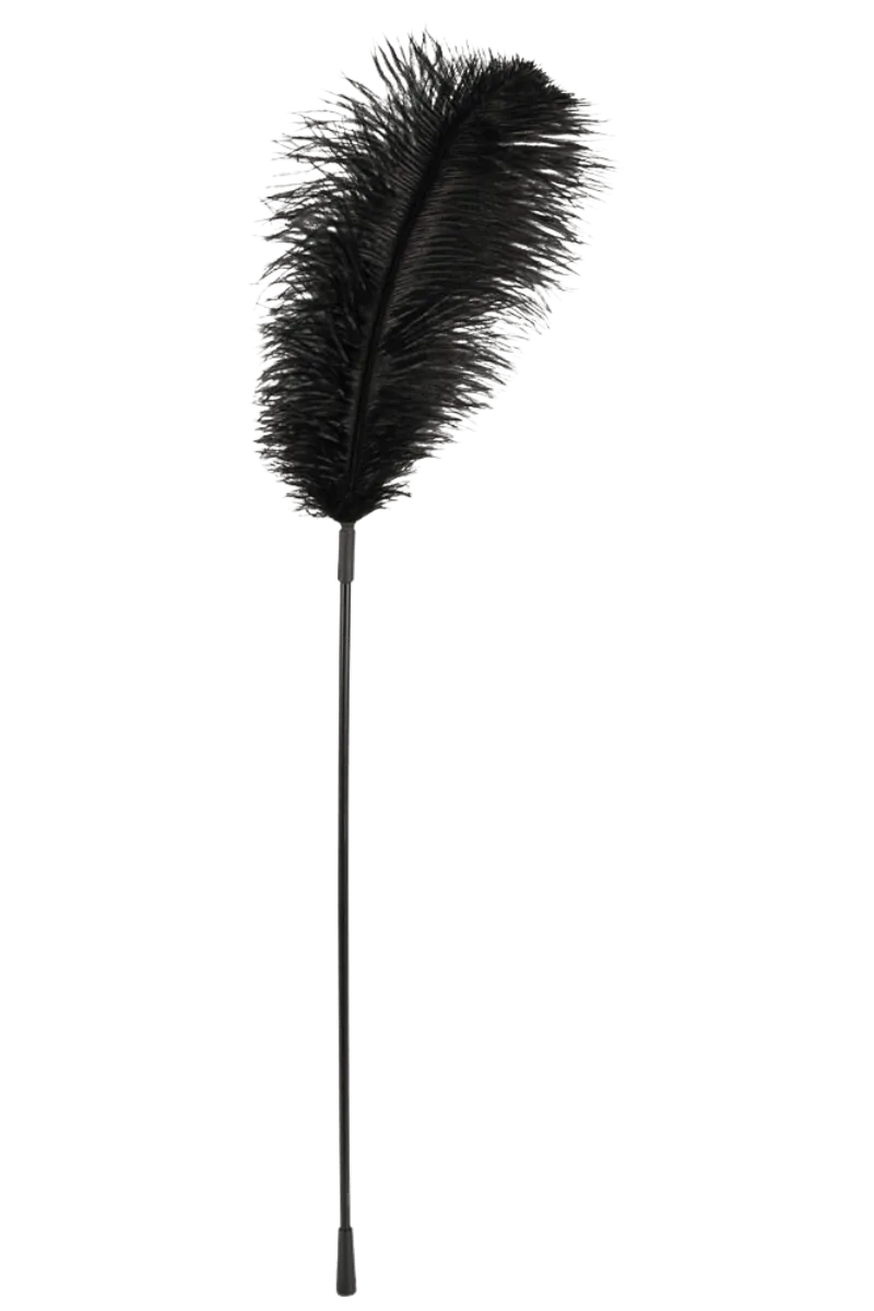 Federstab schwarz - 65cm Federstab schwarz - 65cm