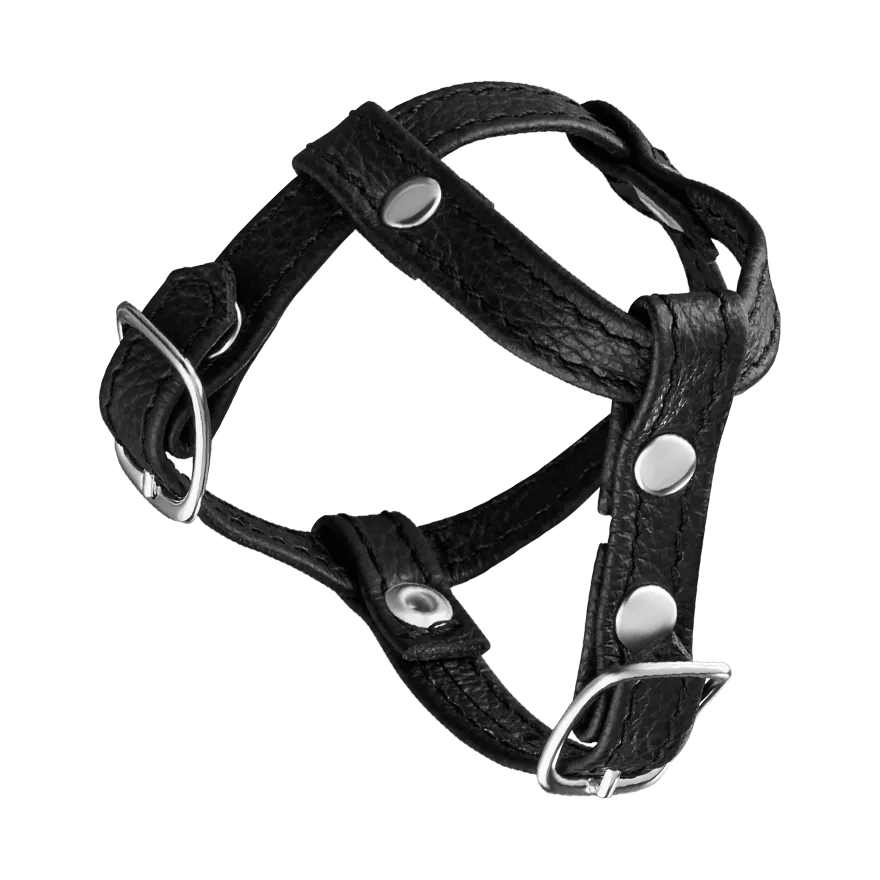 Leder-Penisgurt mit Hodenteiler Leder-Penisgurt mit Hodenteiler