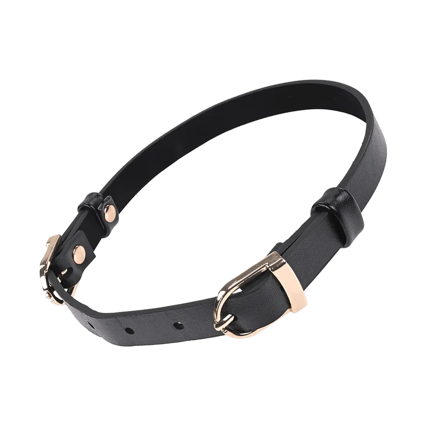 Sex and Mischief - Double Buckle Day Collar Sex and Mischief - Double Buckle Day Collar