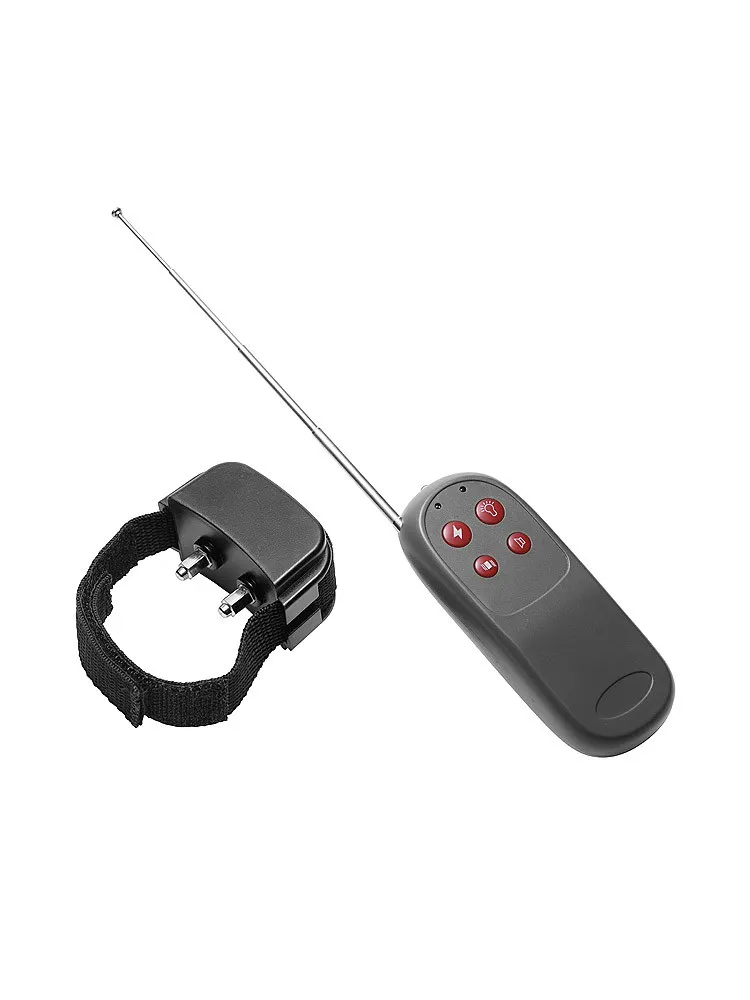 Master Series Cock Shock Remote: Elektroschock-Penisring, schwarz Master Series Cock Shock Remote: Elektroschock-Penisring, schwarz