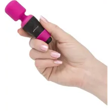 PalmPower Pocket
