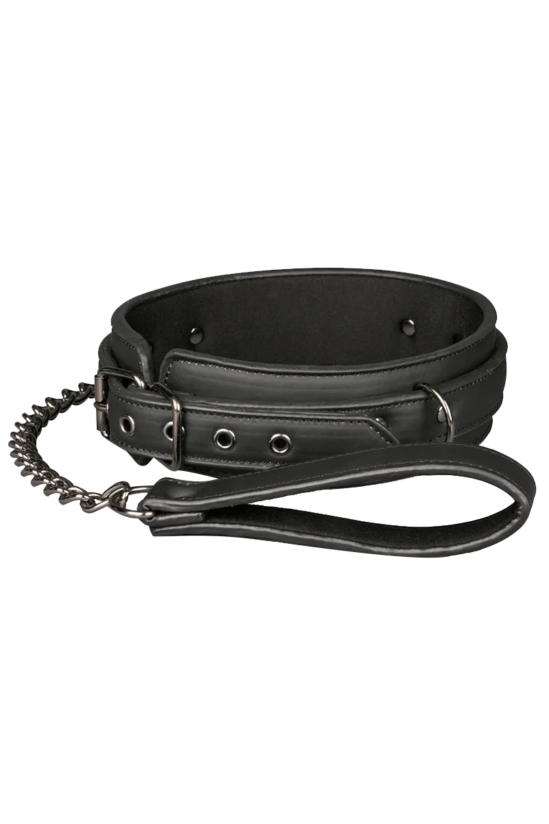 Halsfessel mit abnehmbarer Leine Halsfessel mit abnehmbarer Leine