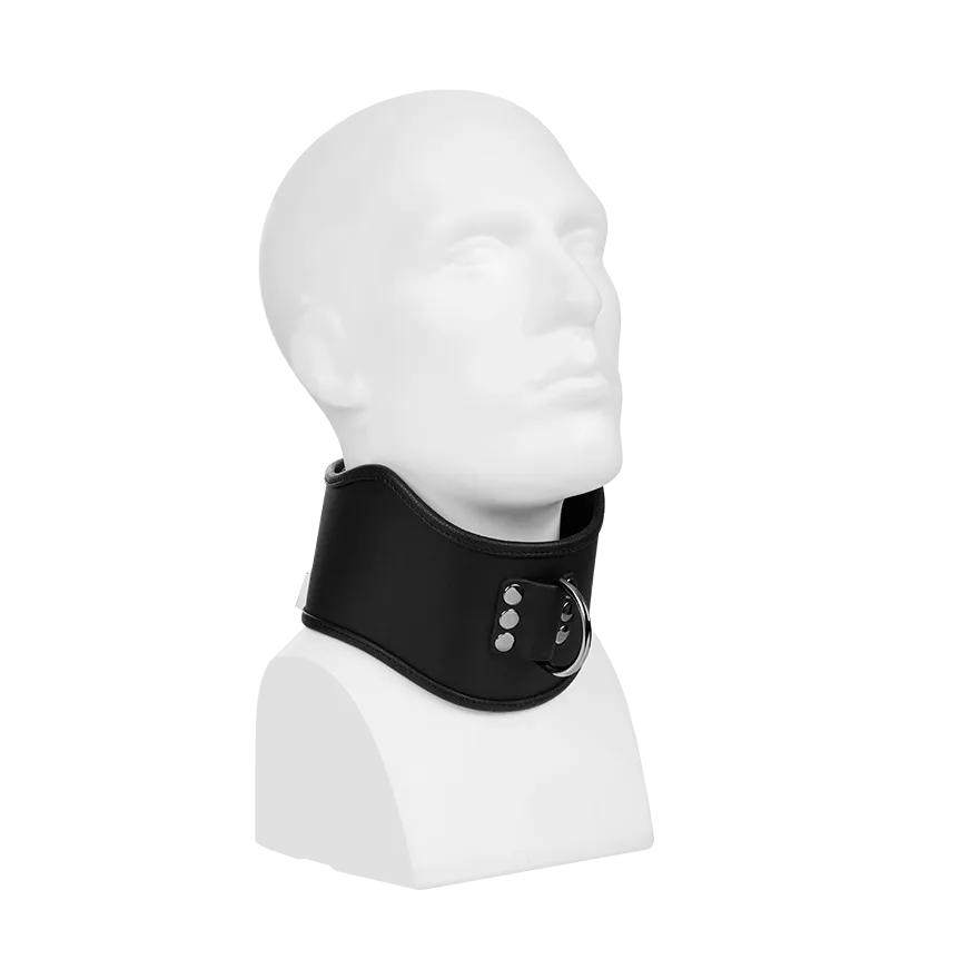 Gepolstertes Halsband mit D-Ring Gepolstertes Halsband mit D-Ring