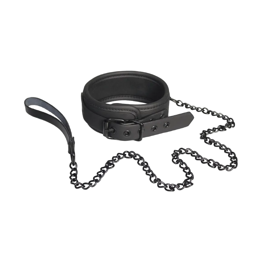 Collar and Leash Collar and Leash
