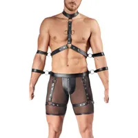 Harness-Pants und Brust-Harness Harness-Pants und Brust-Harness