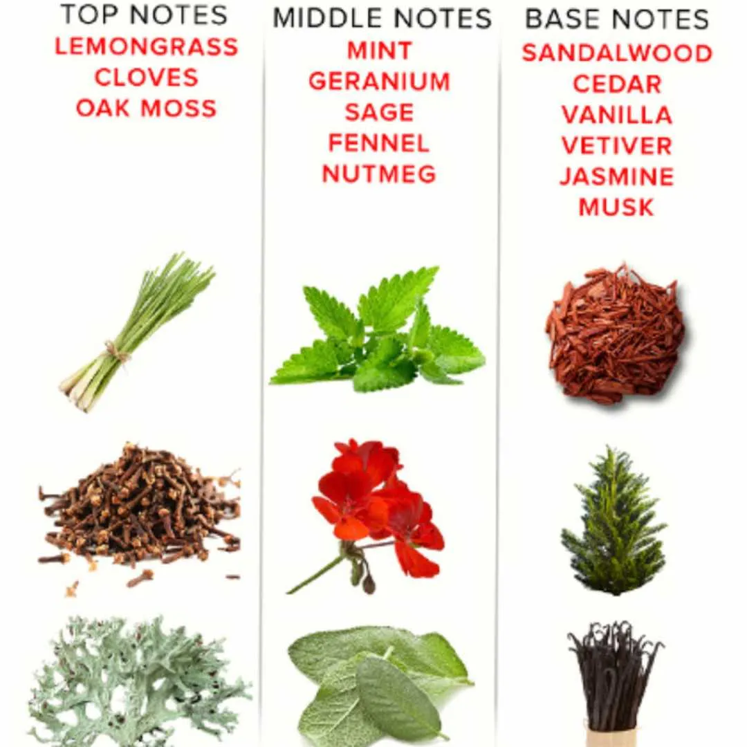 Pheromon Parfüm "Eye of Love" für Sie und Ihn – Bild 5