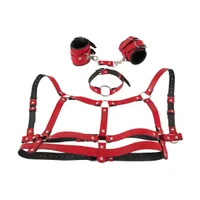 4-teiliges Harness-Set in Leder-Optik 4-teiliges Harness-Set in Leder-Optik