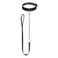Halsband mit Leine in Farben schwarz und roségold Halsband mit Leine in Farben schwarz und roségold