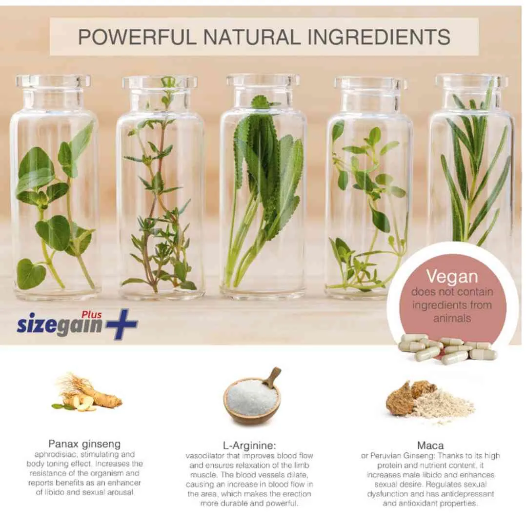 Kapseln "SizeGain Plus" für Penis Vergrößerung – Bild 3