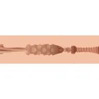 Eva Lovia, 25,4 cm Eva Lovia, 25,4 cm