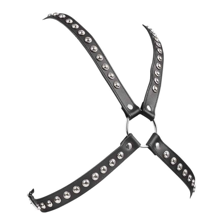 Ledergeschirr mit Nieten Ledergeschirr mit Nieten