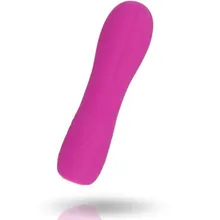 Minivibrator "Ellie" Minivibrator "Ellie"