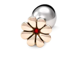 Rosebuds - Blumenkristall Rosebuds - Blumenkristall