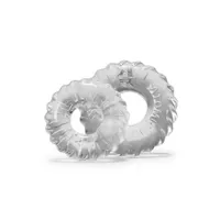 Truckt: Penisringe-Set, transparent Truckt: Penisringe-Set, transparent