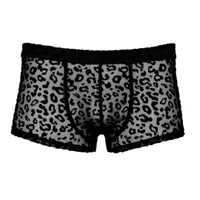 Pants aus Powernet mit Leo-Samtflockprint Pants aus Powernet mit Leo-Samtflockprint