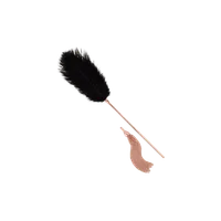 Federkitzler mit Peitsche Federkitzler mit Peitsche