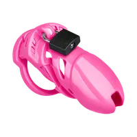 Chastity Plus Chastity Plus