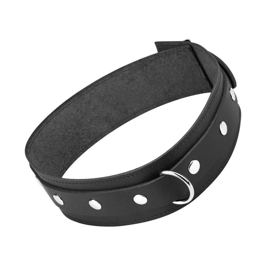 Leder-Halsband, M/L Leder-Halsband, M/L