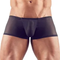 Semitransparente Pants mit Schwellfunktion Semitransparente Pants mit Schwellfunktion