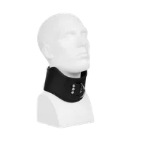 Gepolstertes Halsband mit D-Ring Gepolstertes Halsband mit D-Ring