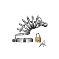 Master Series Asylum 6 Ring Chasity Cage: Edelstahl-Peniskäfig Master Series Asylum 6 Ring Chasity Cage: Edelstahl-Peniskäfig