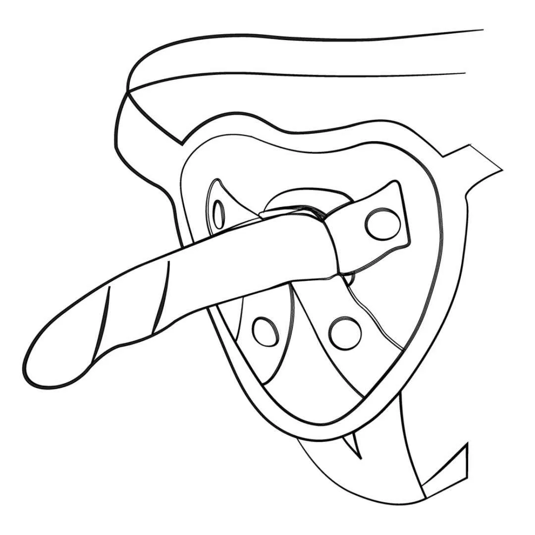 Dildo "Dizi" mit Saugfuß – Bild 4