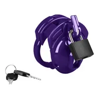 Chastity Clitty Chastity Clitty