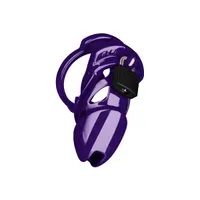 Chastity Standard Chastity Standard