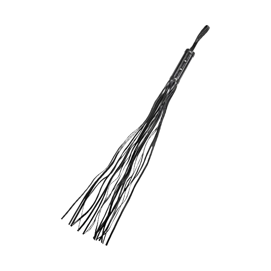 Lederpeitsche Lederpeitsche