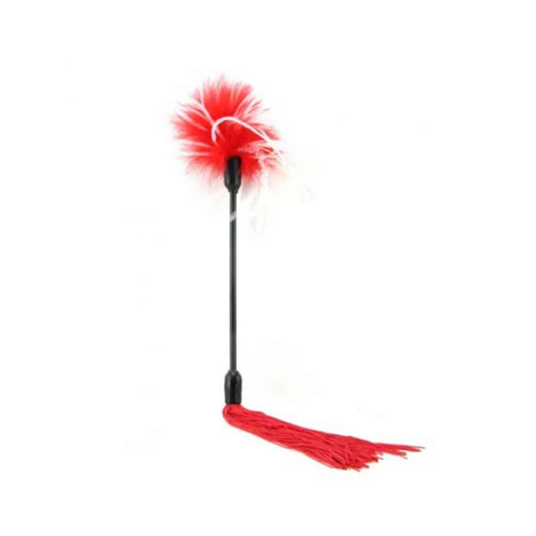 2in1 Peitsche und Tickler – Bild 2