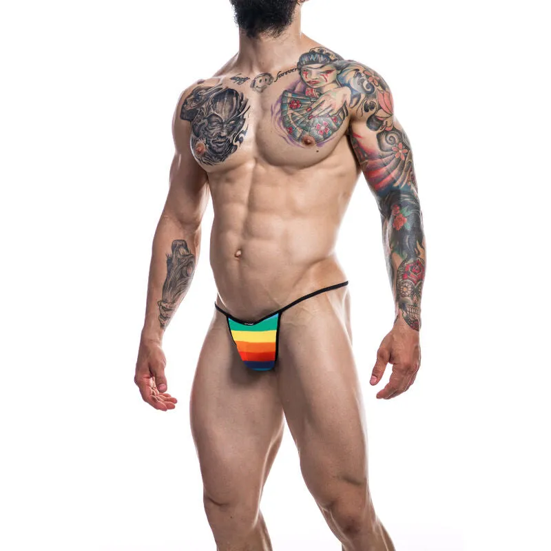 Herren Briefkini “Rainbow” Herren Briefkini “Rainbow”
