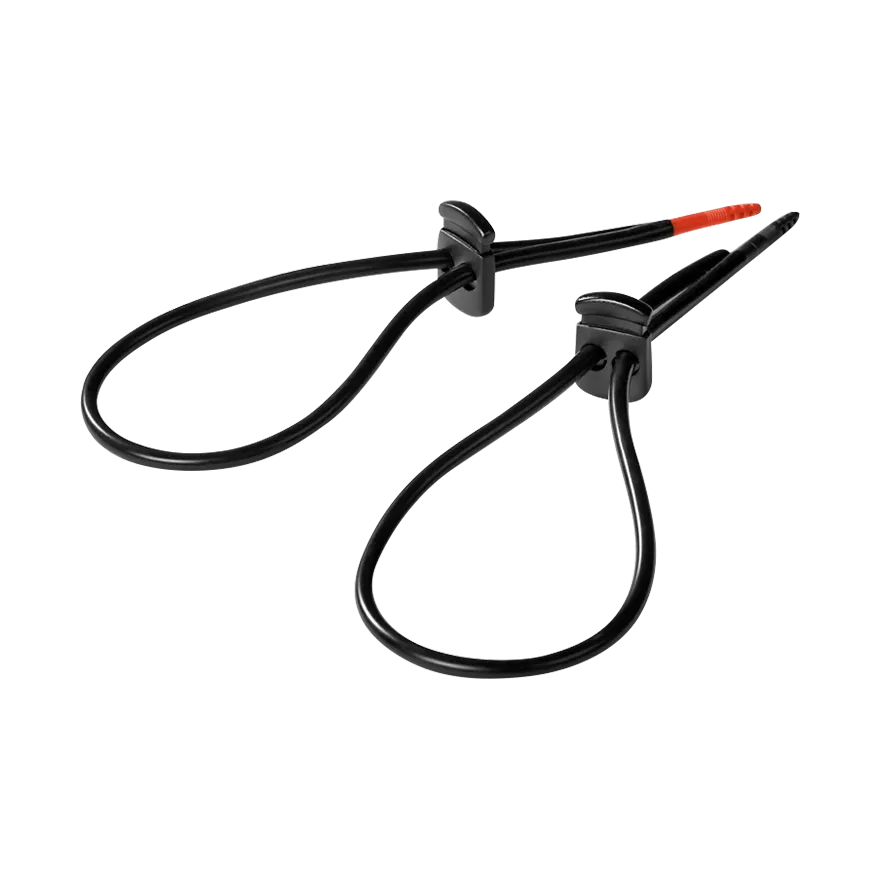 Rodeo Robin Rodeo Robin