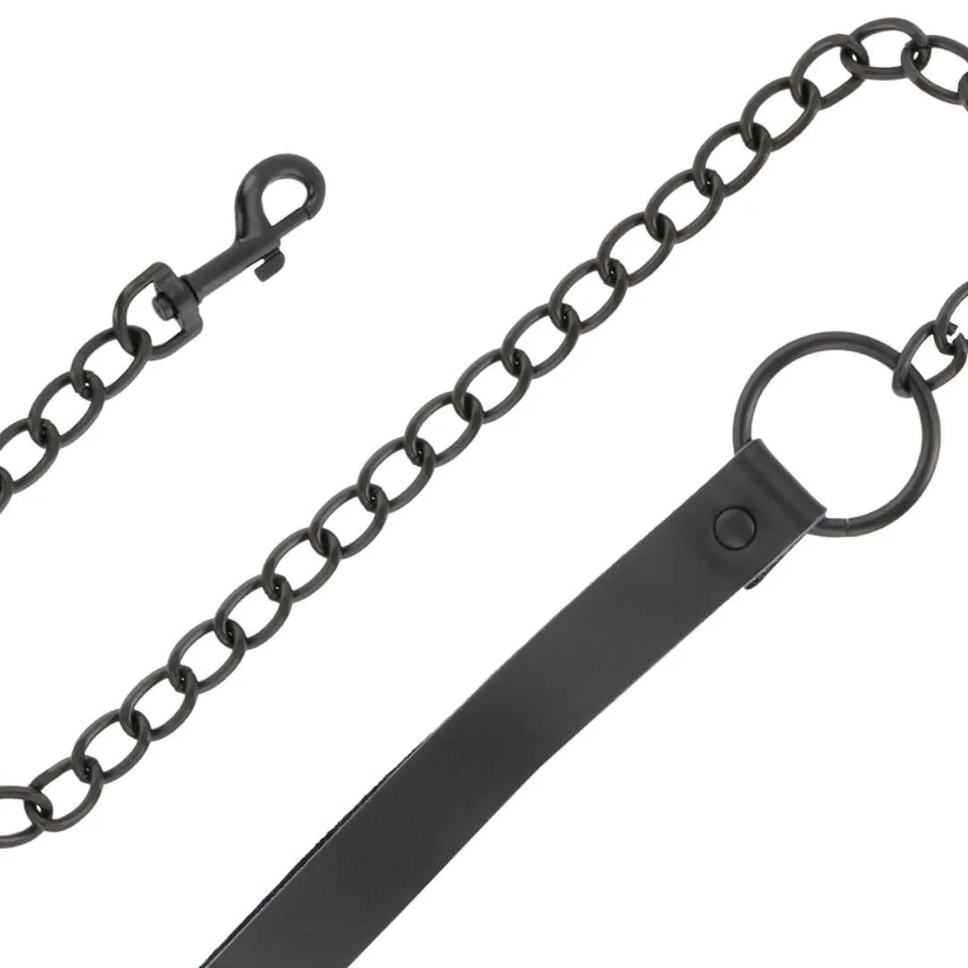 Schlichtes Halsband mit Leine – Bild 4