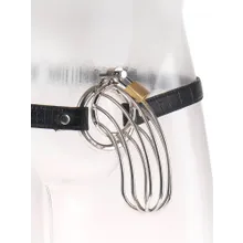 Fetish Fantasy Extreme The Prisoner: Keuschheitskäfig mit Gürtel Fetish Fantasy Extreme The Prisoner: Keuschheitskäfig mit Gürtel