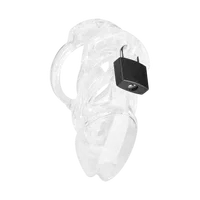 Chastity Standard Chastity Standard