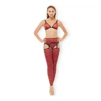 Suspender Belt Suspender Belt
