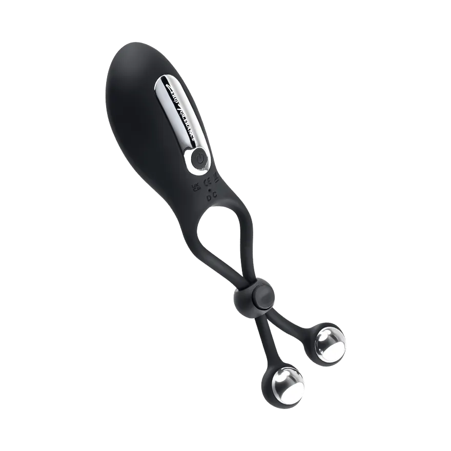 The Big Bang The Big Bang