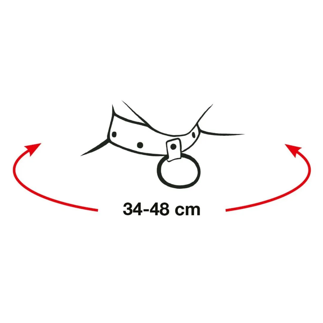 Fessel-Set für Hals, Oberarme, Hände und Füße – Bild 4