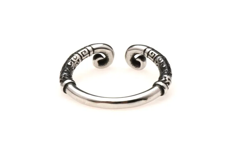 Master Series - Edelstahl Glansring - Silber – Bild 3