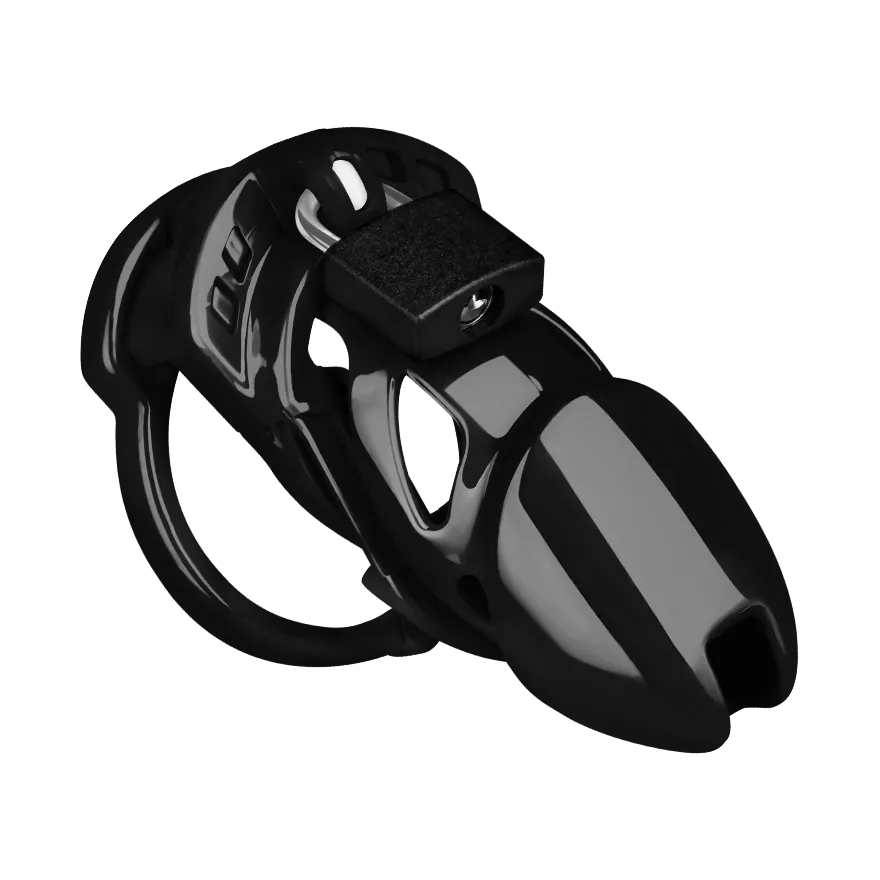 Chastity Standard Chastity Standard