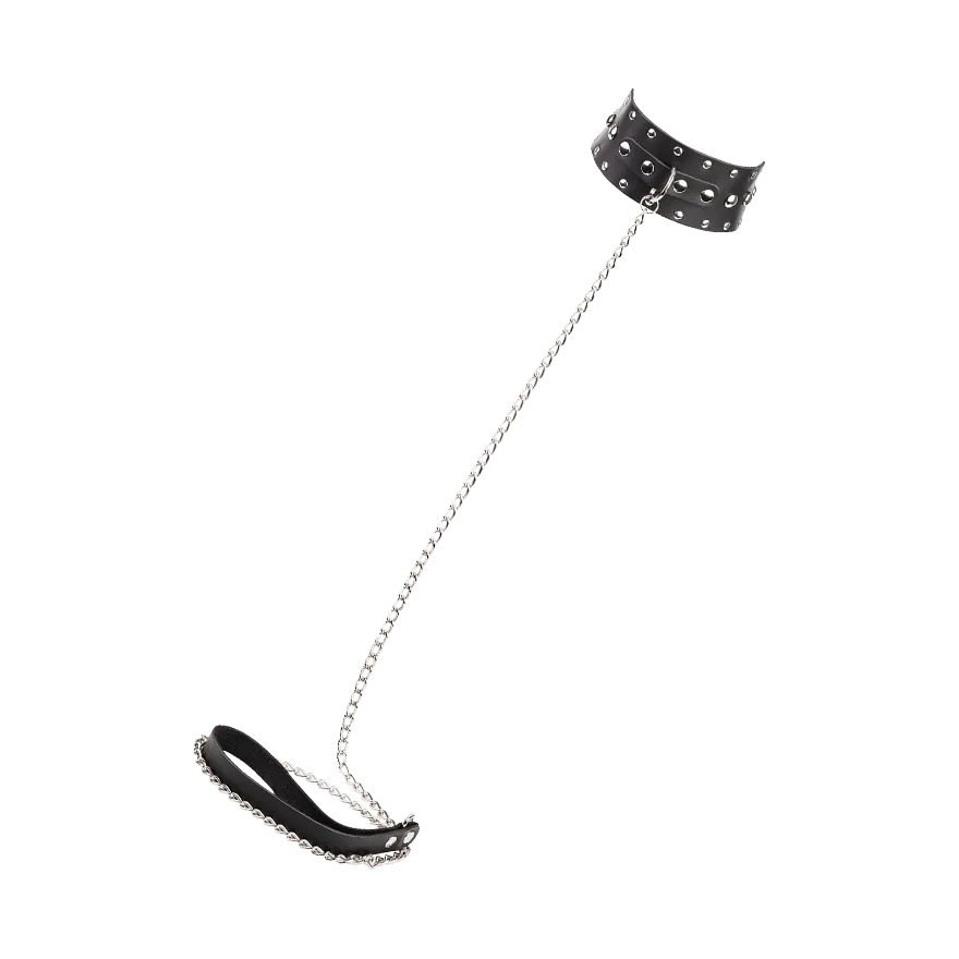 Breites Halsband mit Leine Breites Halsband mit Leine