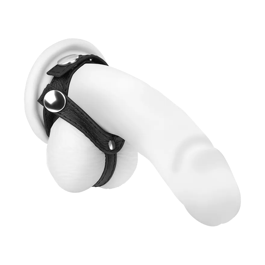 Penis-Hoden-Manschette aus Leder Penis-Hoden-Manschette aus Leder