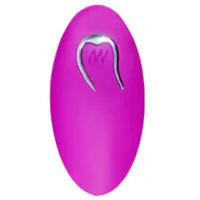 Fernbedienung für Spielzeuge von Pretty Love Fernbedienung für Spielzeuge von Pretty Love