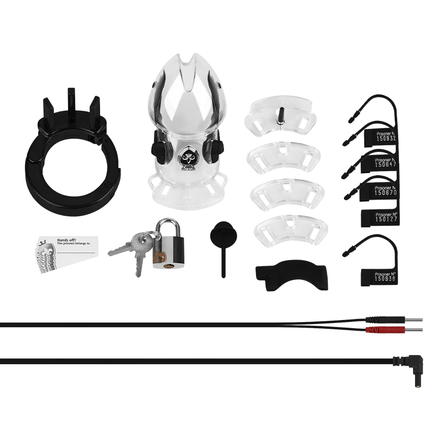 Pubic Enemy No. 2 Pubic Enemy No. 2