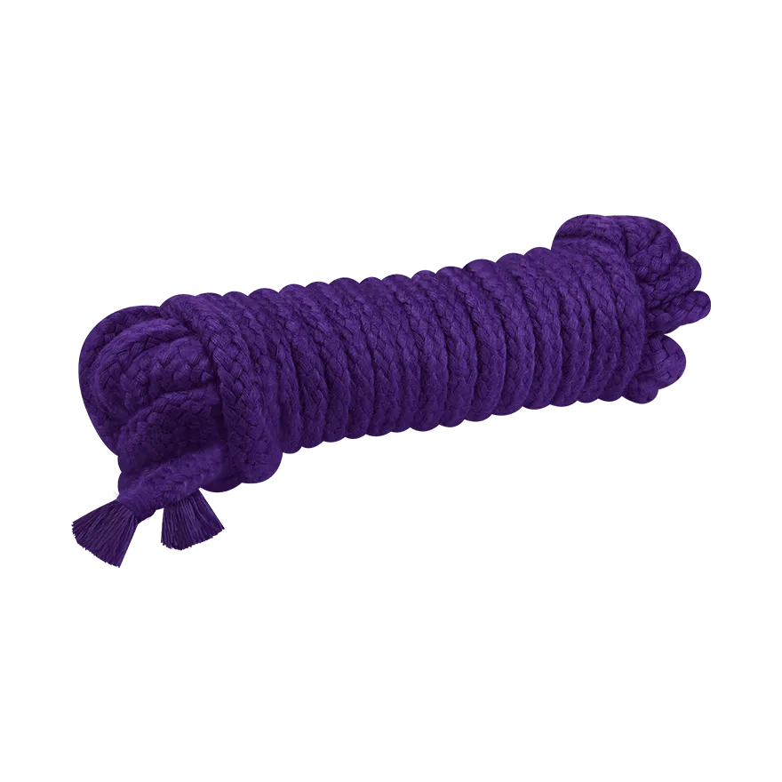 Bristol, 5 m Bristol, 5 m