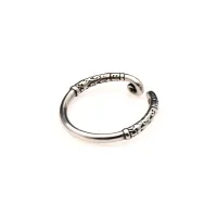 Master Series - Edelstahl Glansring - Silber Master Series - Edelstahl Glansring - Silber